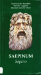 Saepinum - Sepino